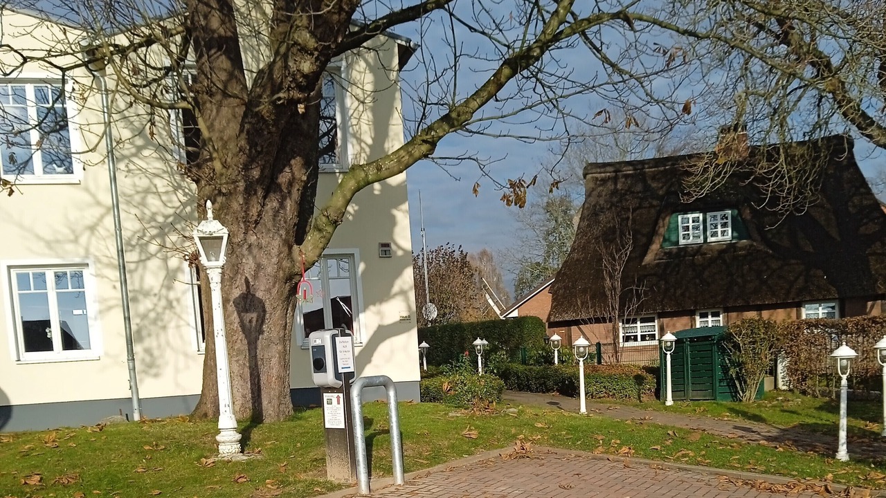 Photo of Others in Hammoor