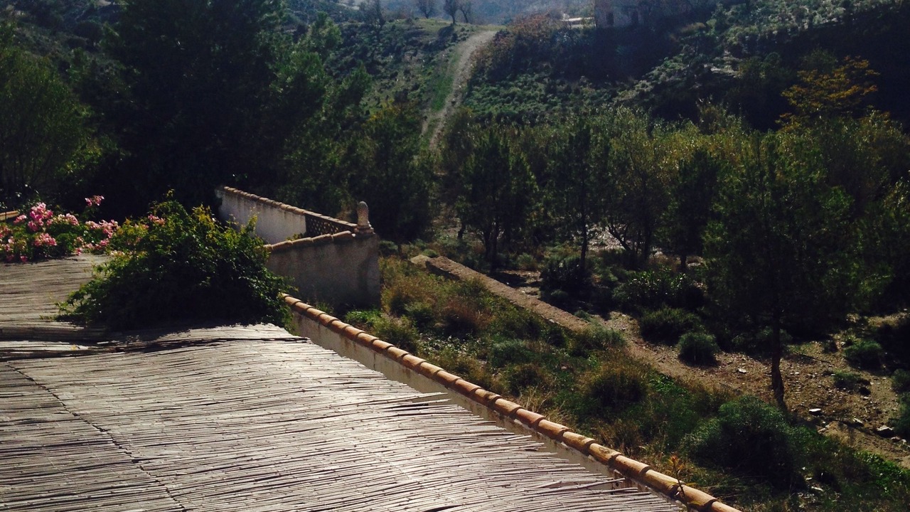 Photo of Others in Lorca