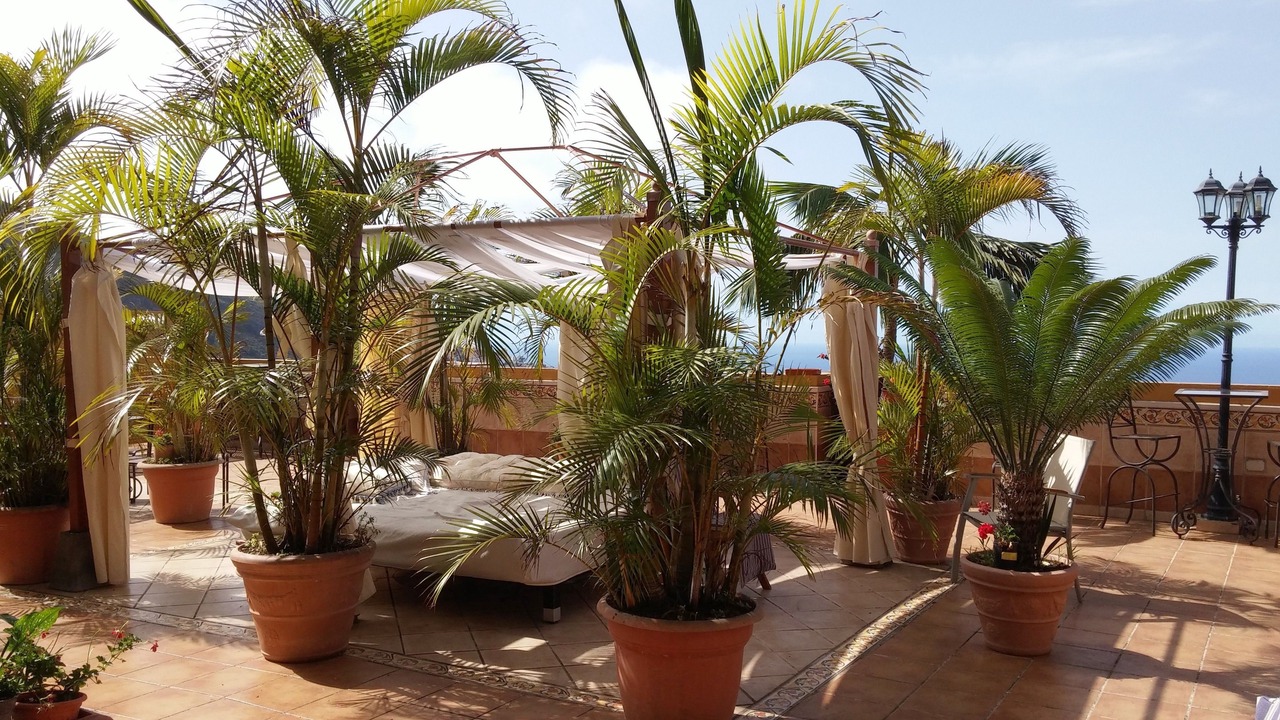 Photo of Patio Balcony in El Guincho