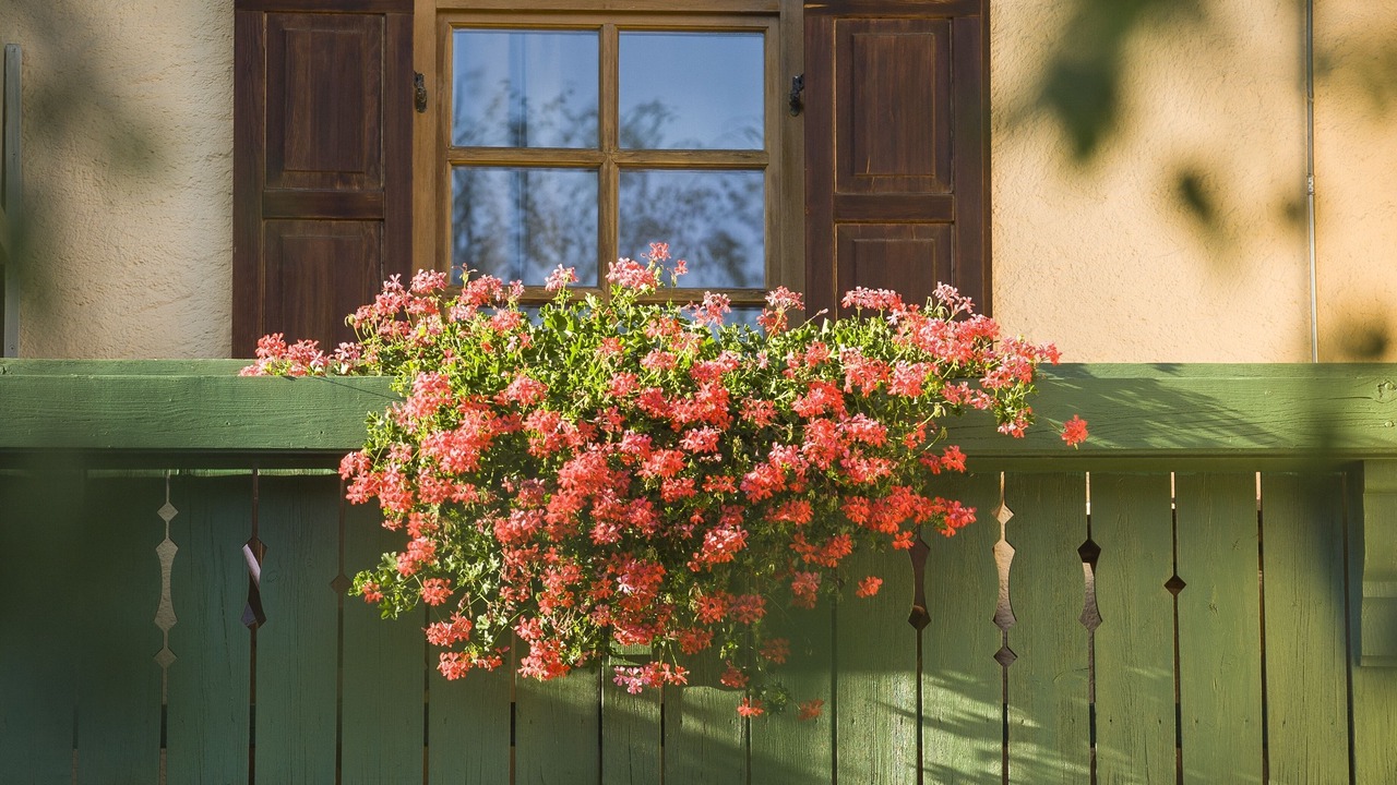 Photo of Outdoor in Obing