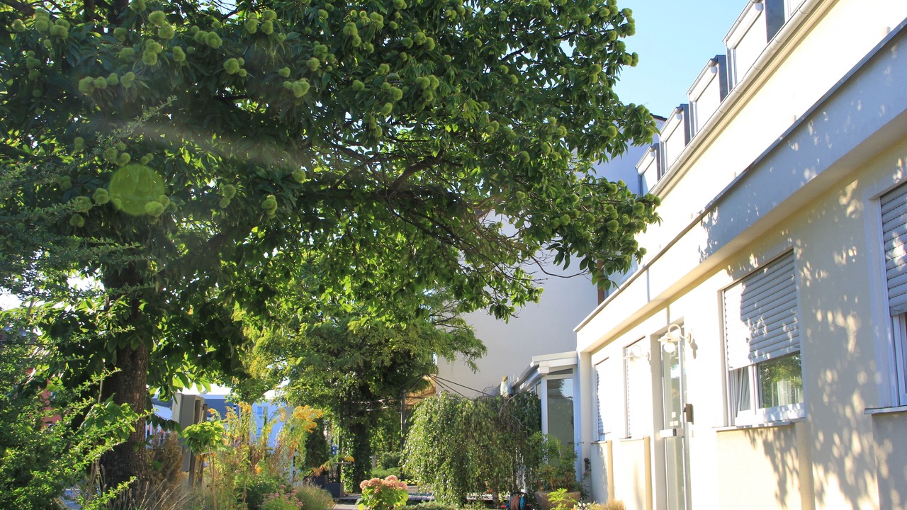 Photo of Patio Balcony in Weststadt