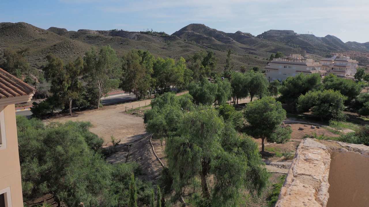 Photo of Bedroom in Los Geraeos