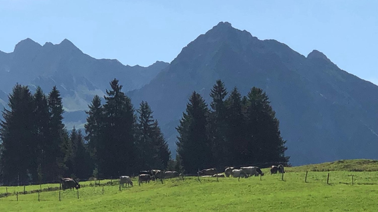 Photo of Outdoor in Oberdorf