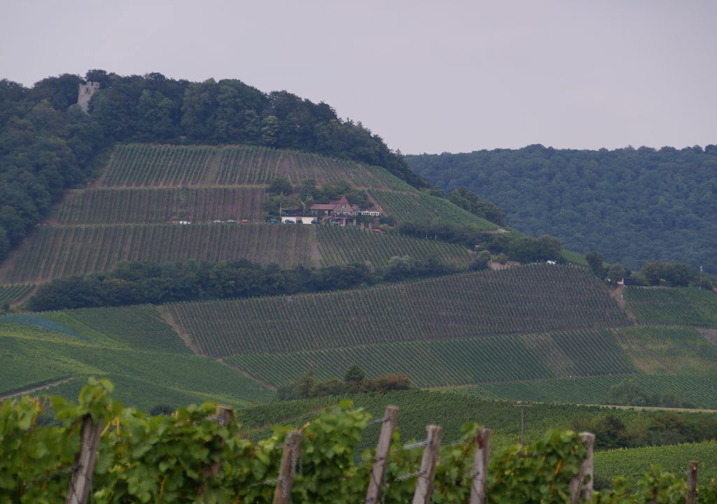 Photo of Outdoor in Oberschwarzach