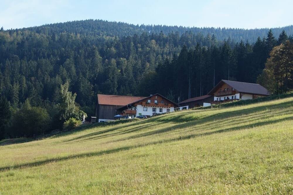 Photo of Outdoor in Lam