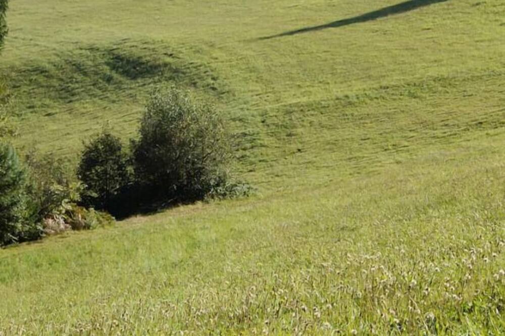 Photo of Others in Lam