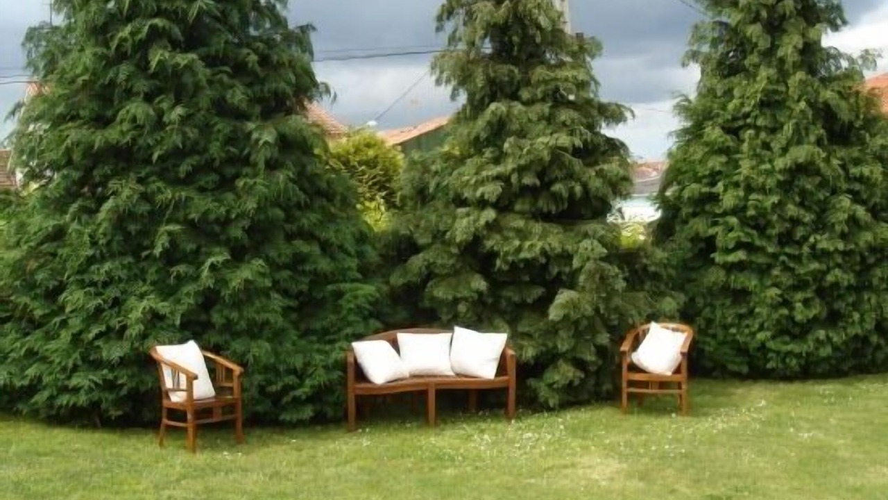 Photo of Outdoor in Rianxo