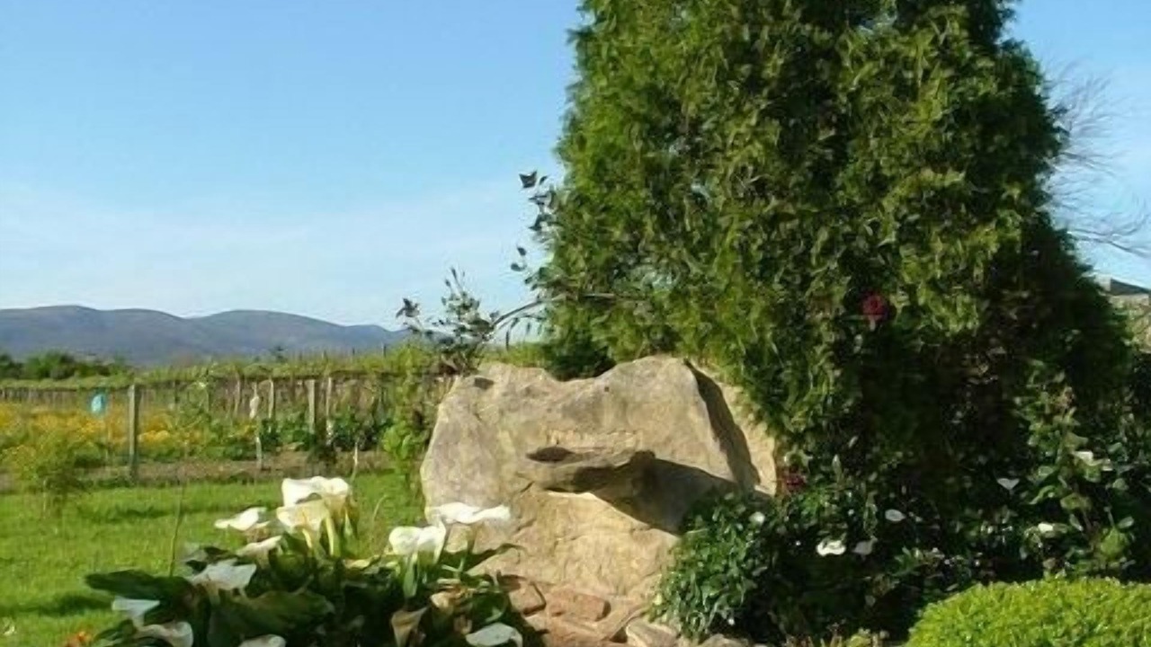 Photo of Outdoor in Rianxo