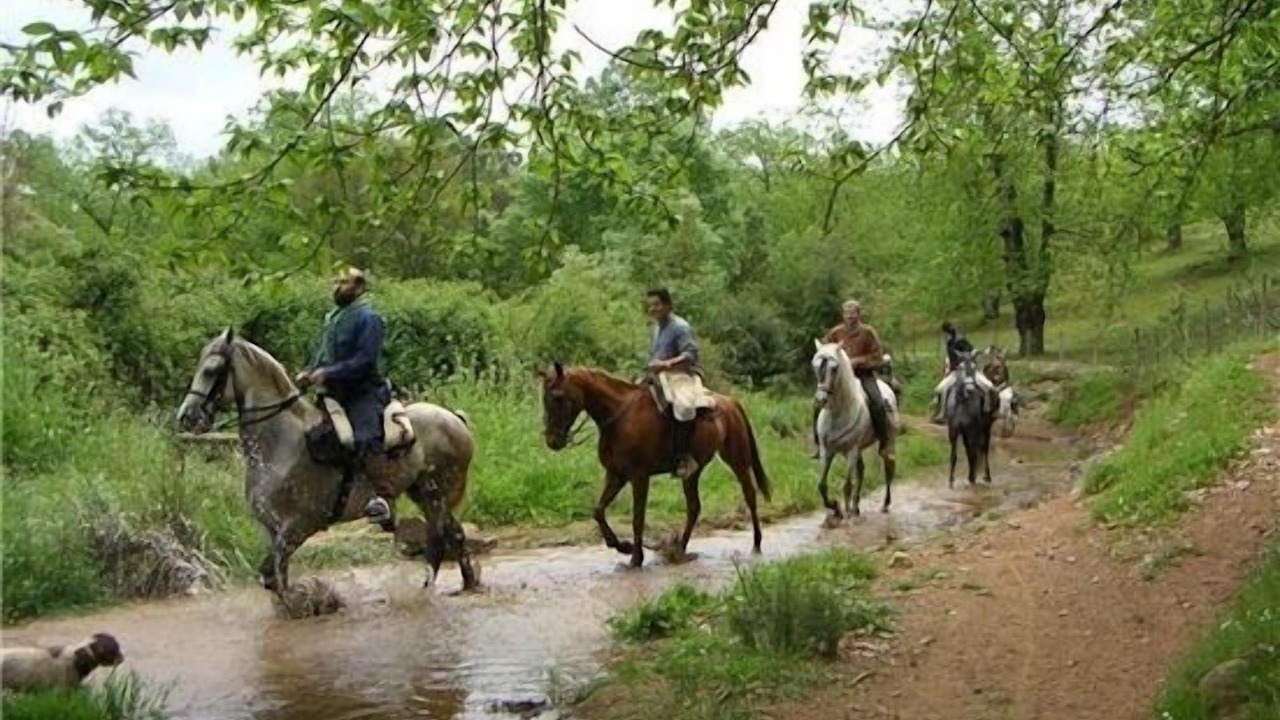 Photo of Others in Rianxo