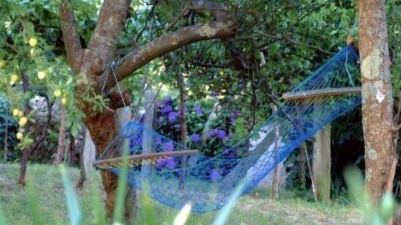 Photo of Outdoor in Rianxo
