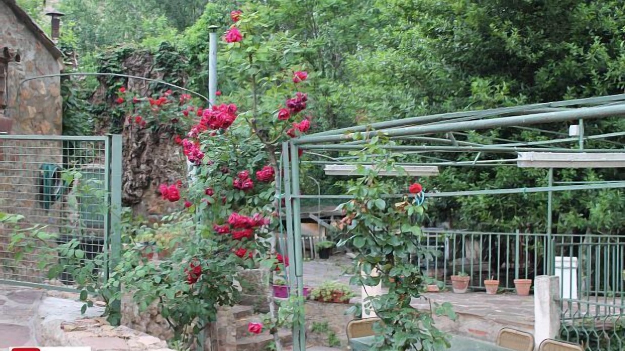 Photo of Outdoor in Aranda de Moncayo