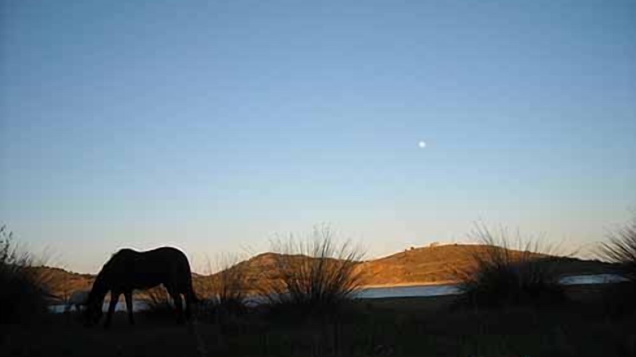Photo of Others in Aranda de Moncayo