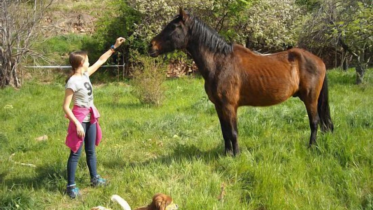 Photo of Others in Aranda de Moncayo