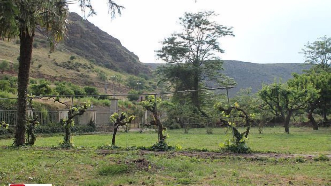 Photo of Outdoor in Aranda de Moncayo