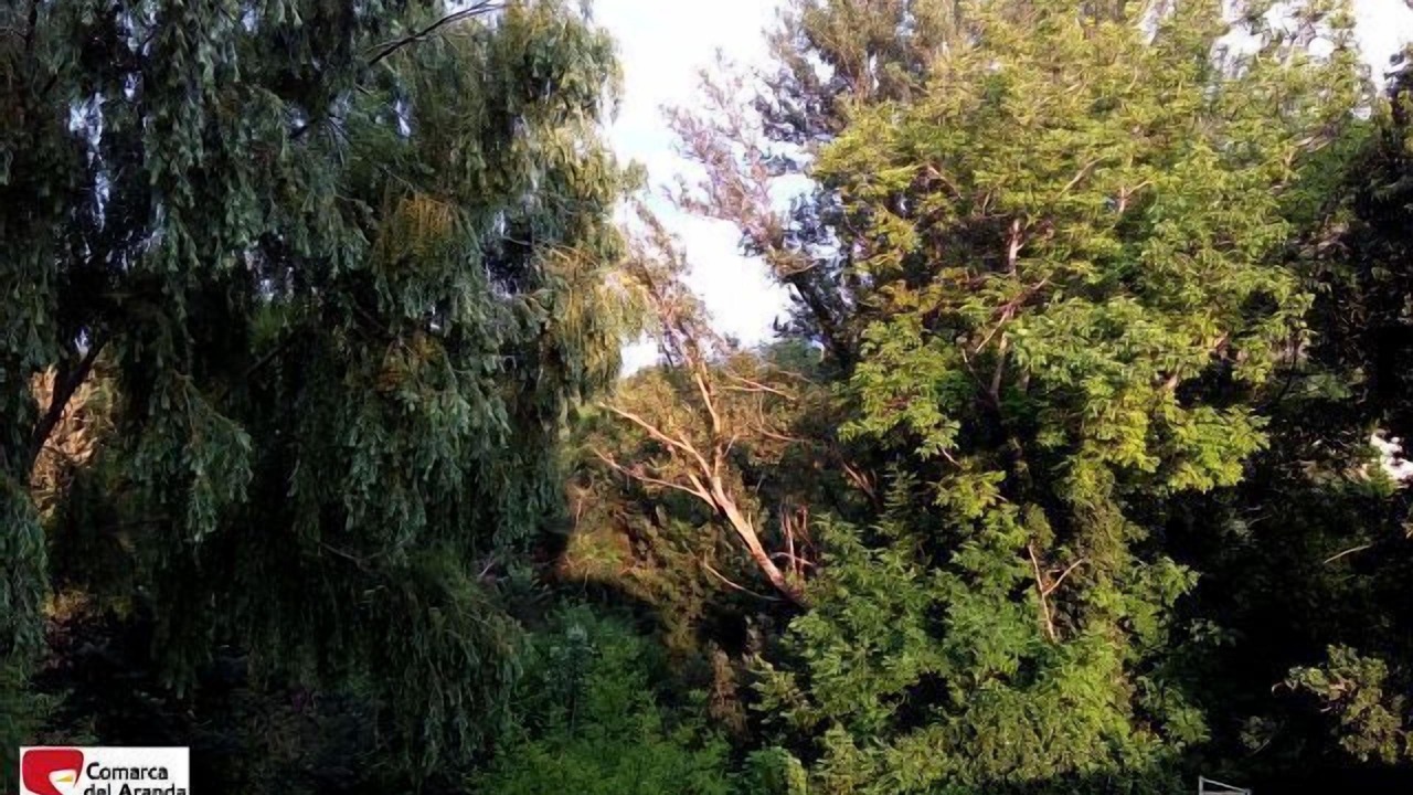 Photo of Others in Aranda de Moncayo