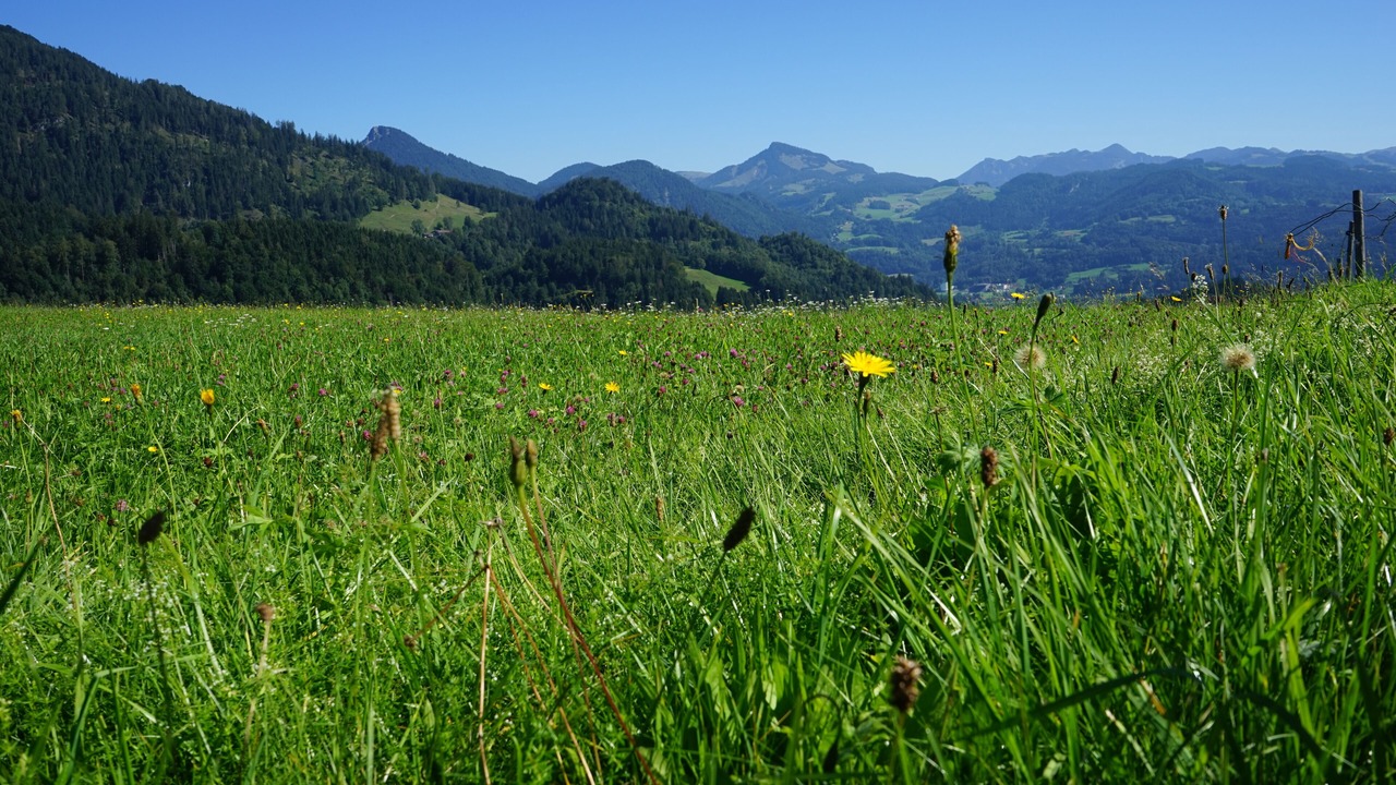 Photo of Outdoor in Rohrdorf