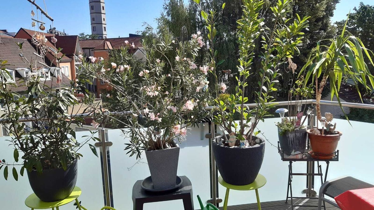 Photo of Outdoor in Schweinfurt