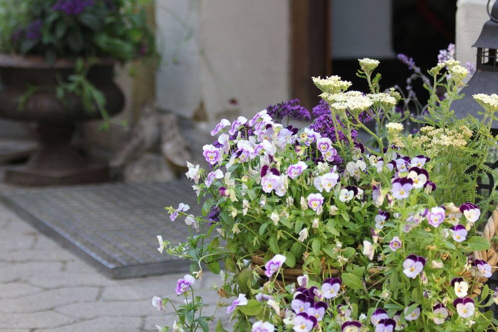 Photo of Outdoor in Kitzingen