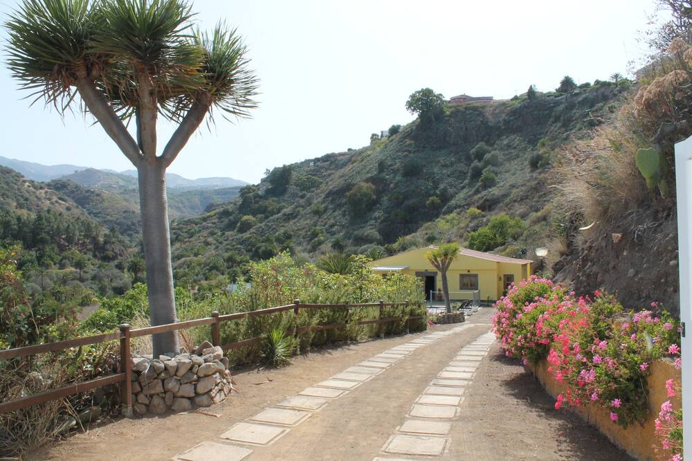 Photo of Outdoor in Santa Brigida
