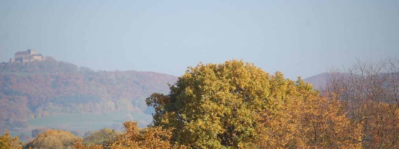 Photo of Others in Drosendorf