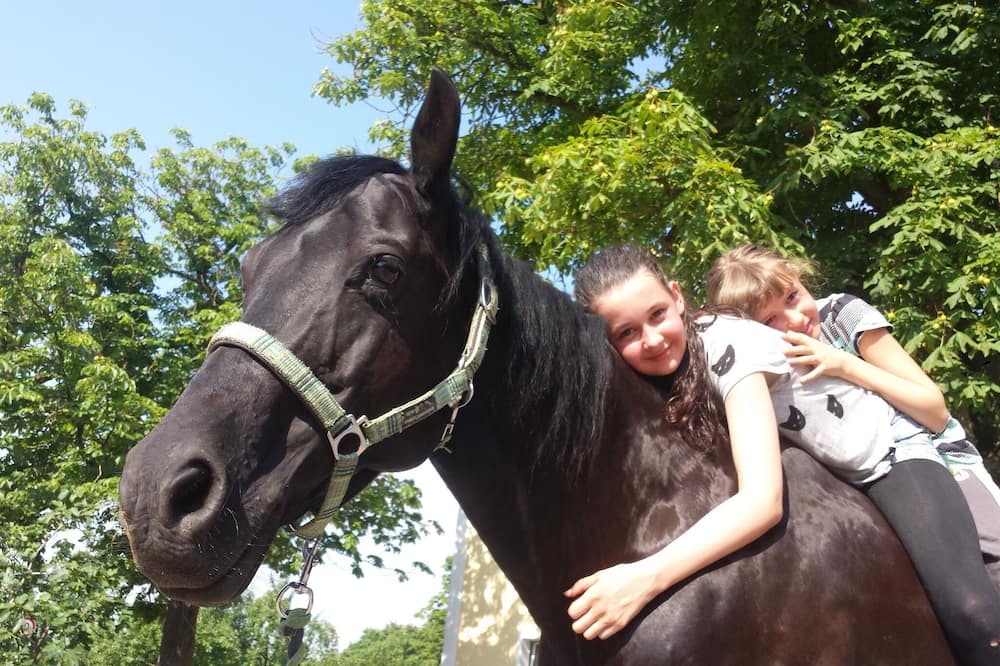 Photo of Others in Leutershausen