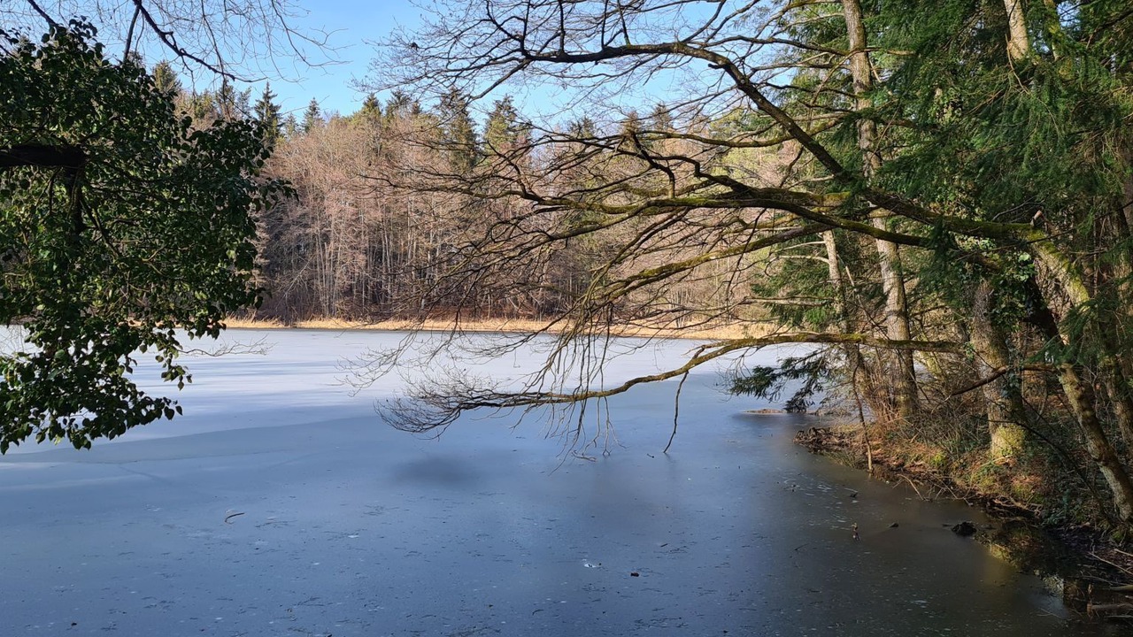 Photo of Outdoor in Sigmarszell