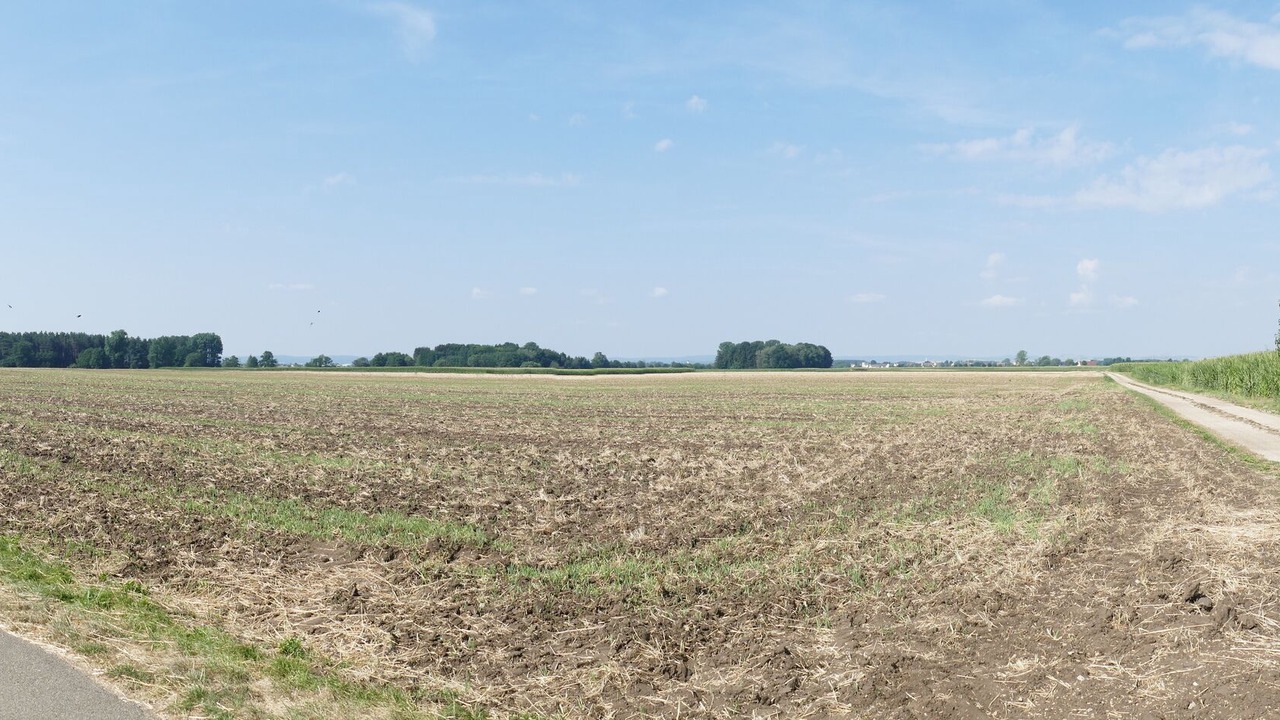 Photo of Outdoor in Munningen