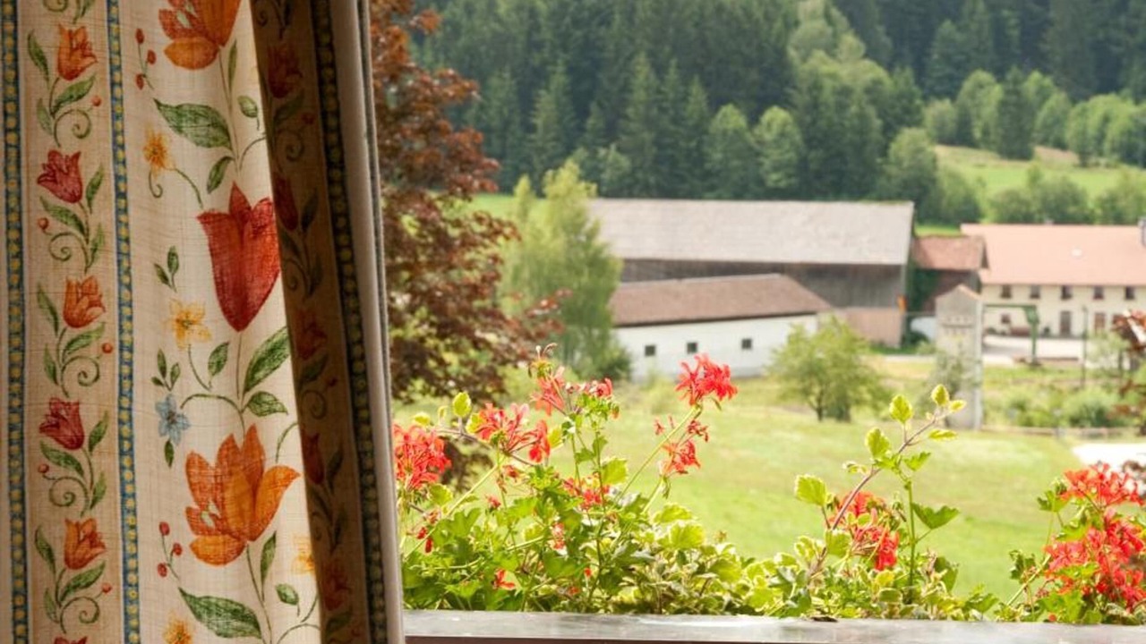 Photo of Patio Balcony in Grafling