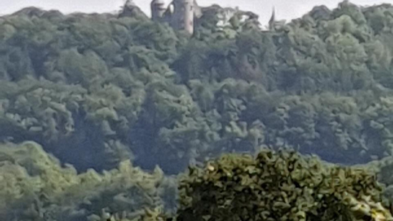 Photo of Others in Walldorf