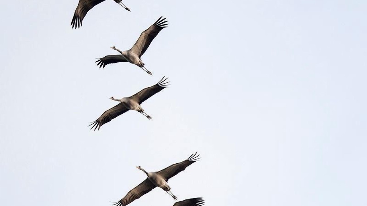 Photo of Others in Fuhlendorf