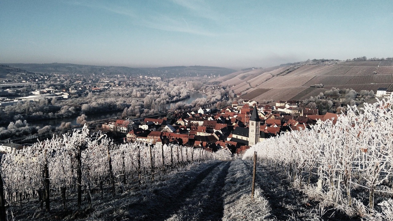 Photo of Others in Randersacker