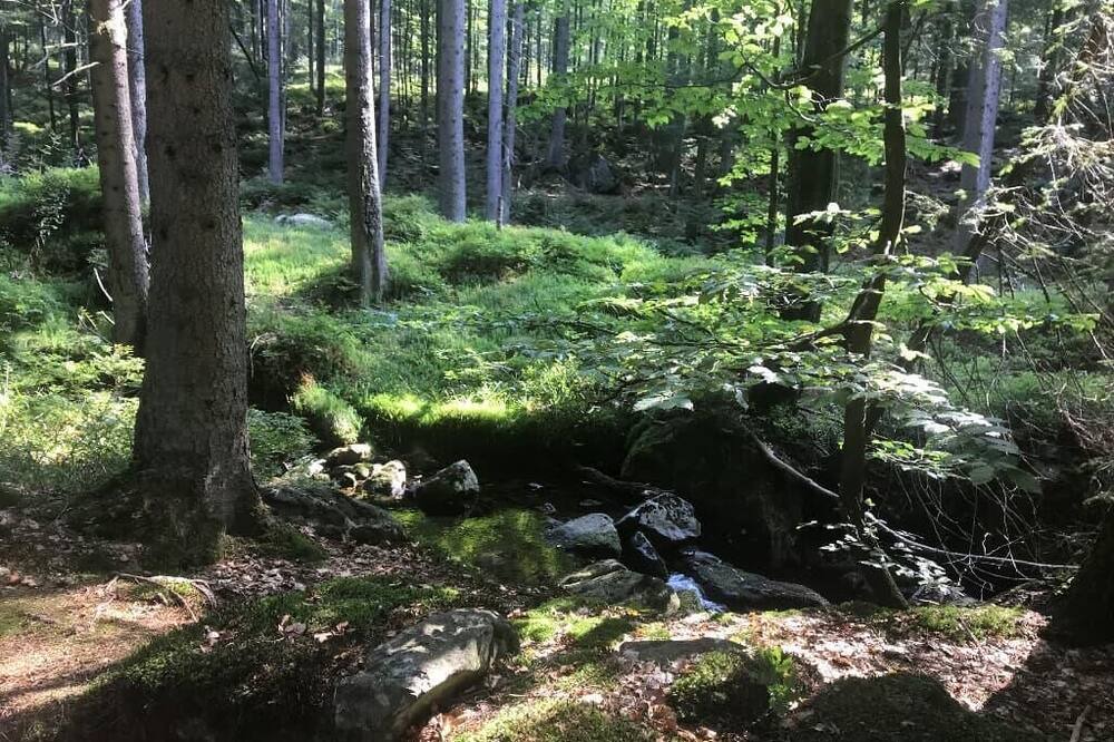 Photo of Outdoor in Kotzting