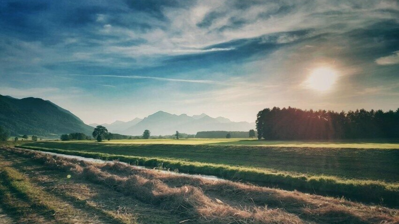 Photo of Outdoor in Uebersee