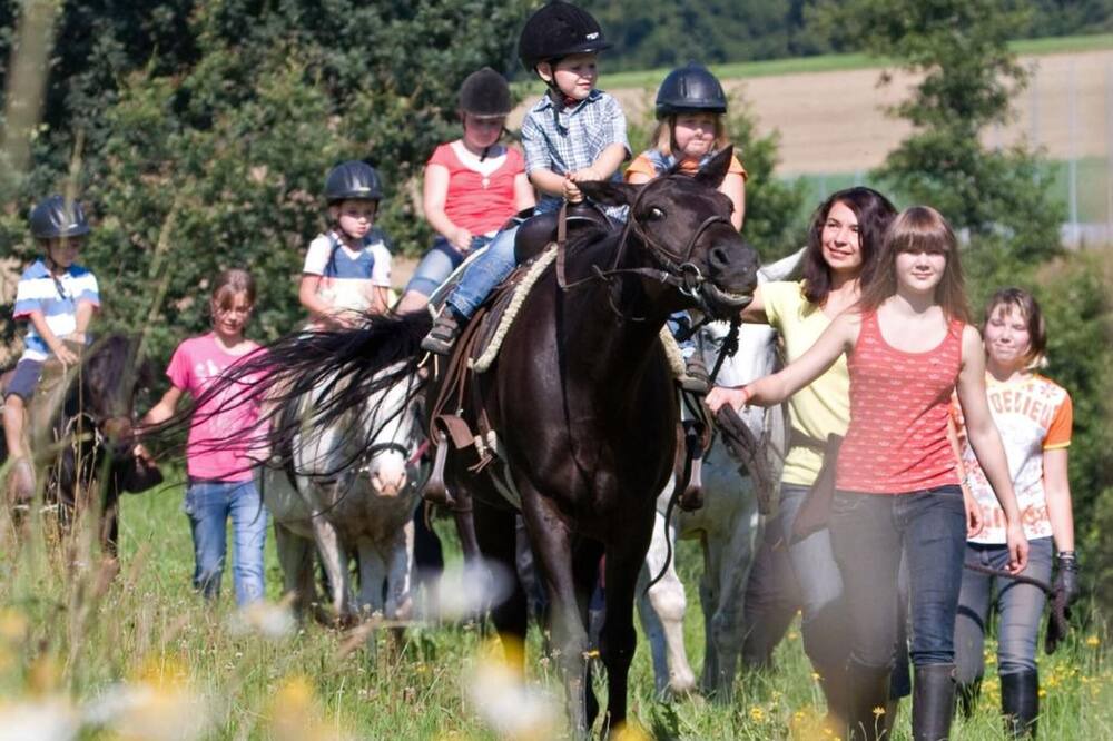 Photo of Others in Grattersdorf