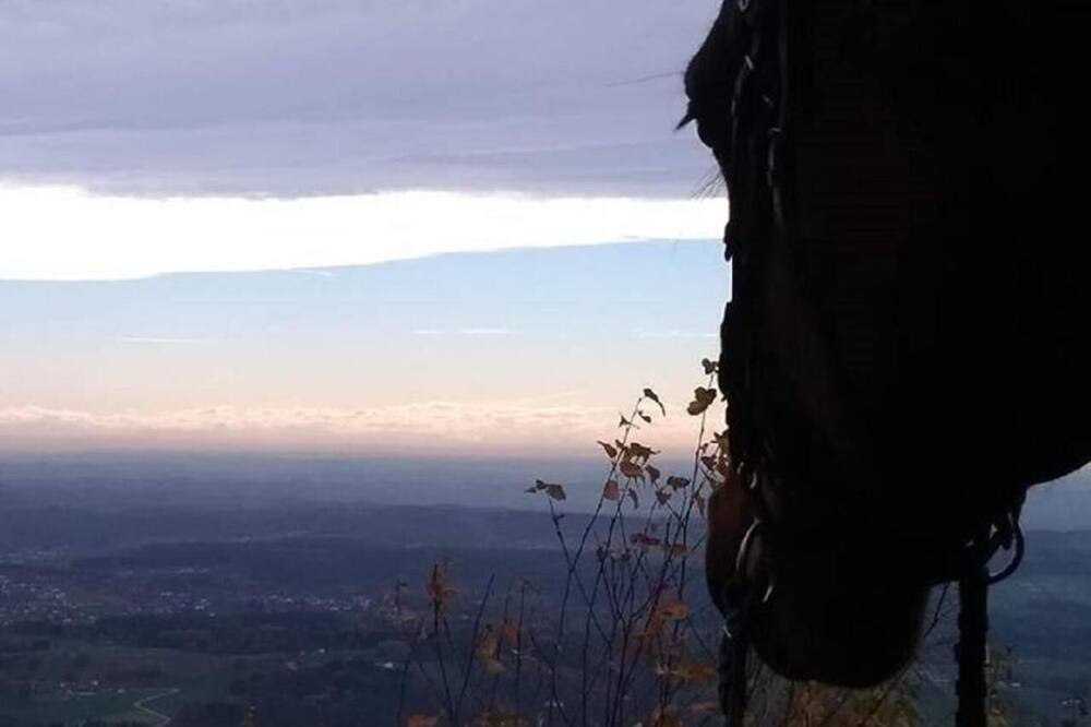 Photo of Others in Grattersdorf