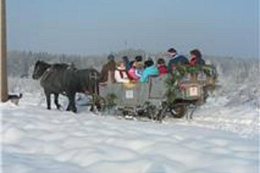 Photo of Others in Grattersdorf