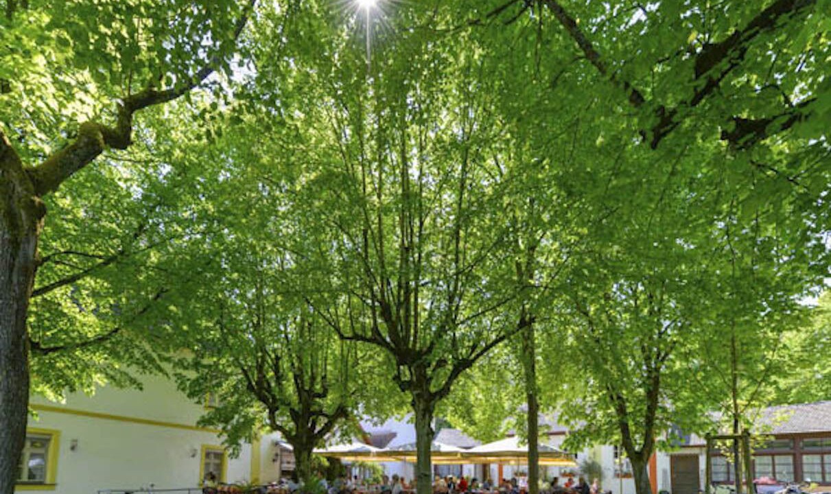 Photo of Outdoor in Bamberg
