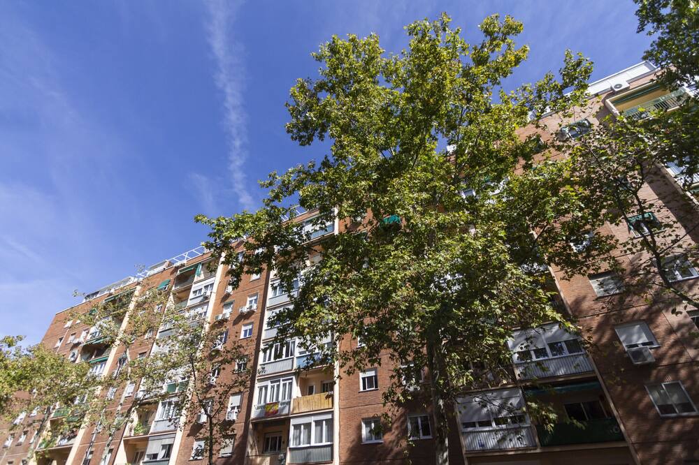 Photo of Outdoor in Castillejos