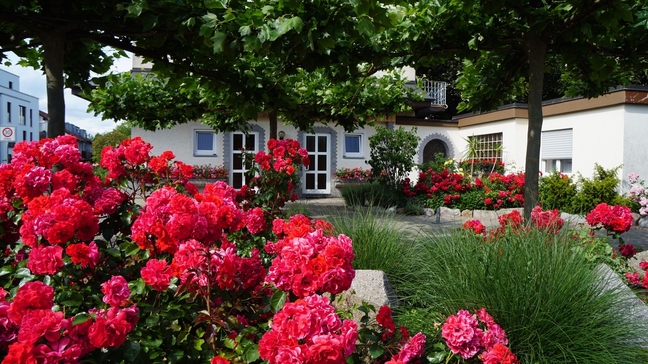 Photo of Outdoor in Neuenburg am Rhein