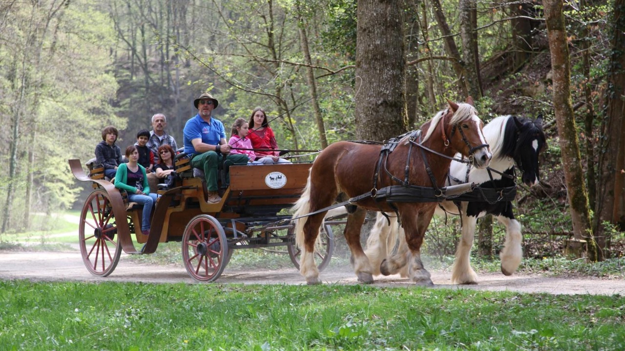 Photo of Others in Eigeltingen