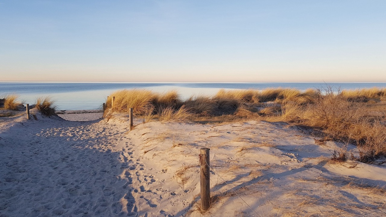 Photo of Others in Insel Poel