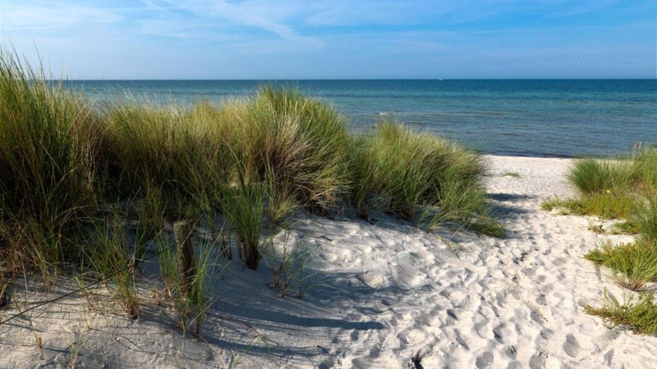 Photo of Others in Insel Poel