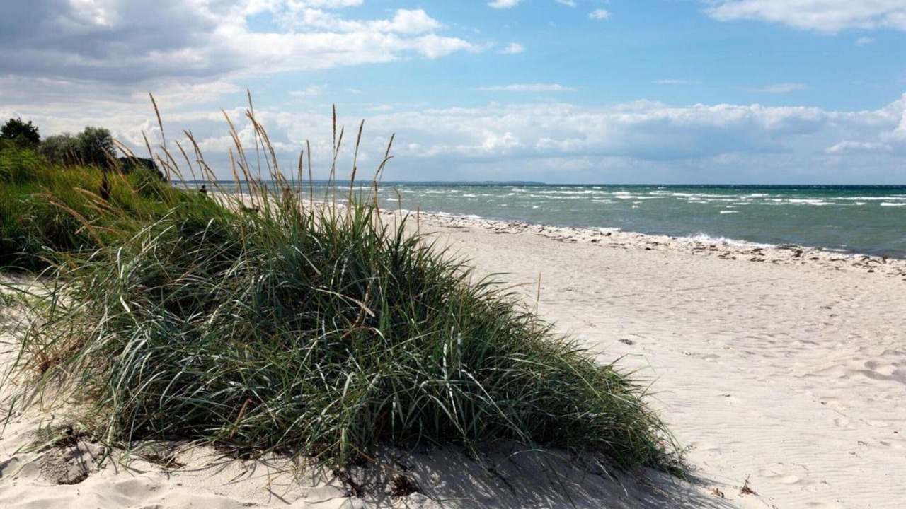 Photo of Others in Insel Poel