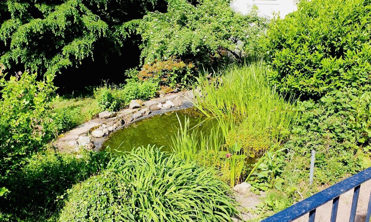 Photo of Outdoor in Steinbach