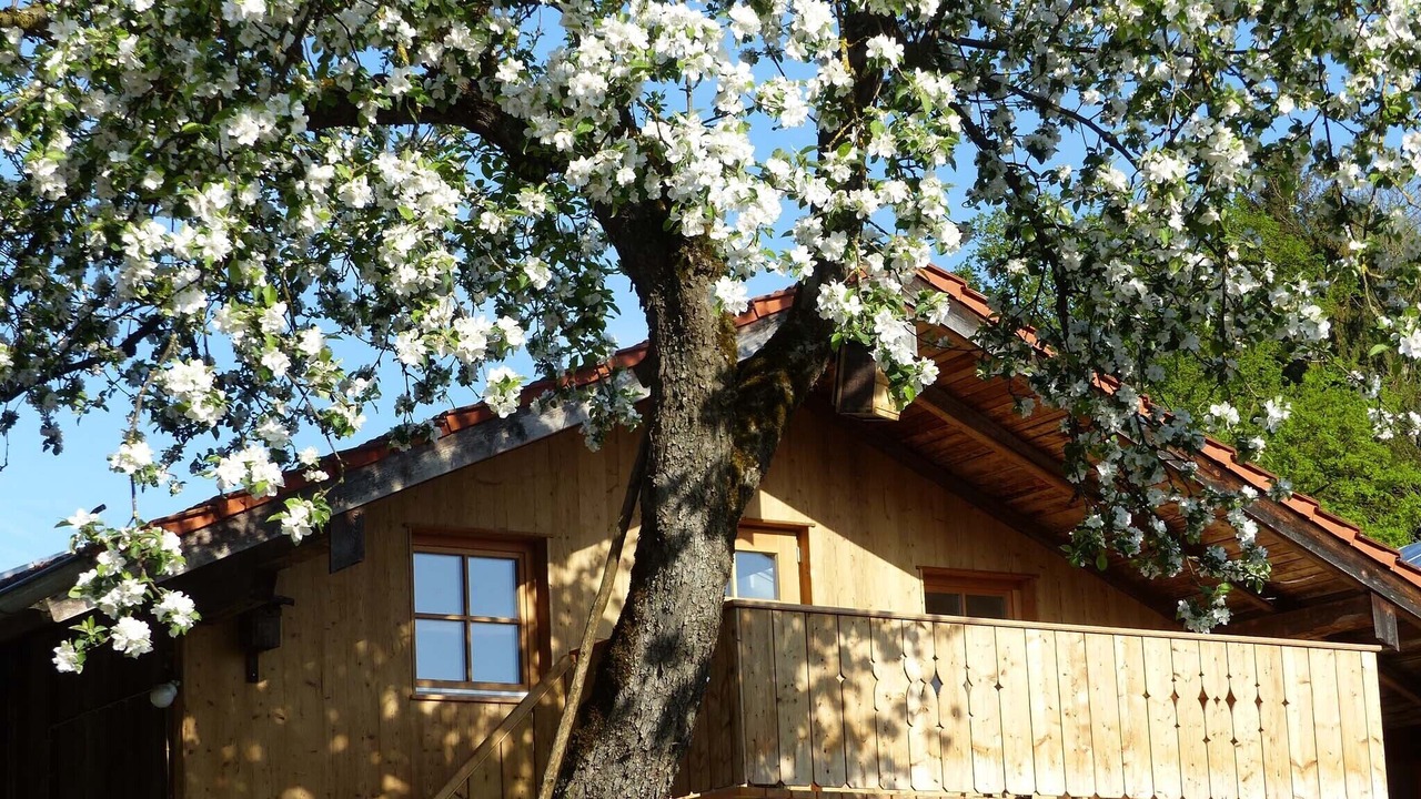 Photo of Outdoor in Bad Endorf