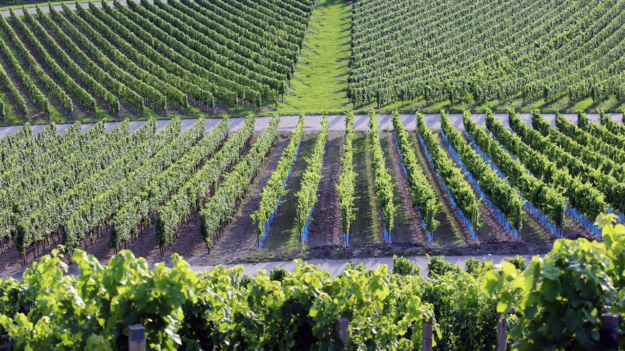 Photo of Outdoor in Sugenheim