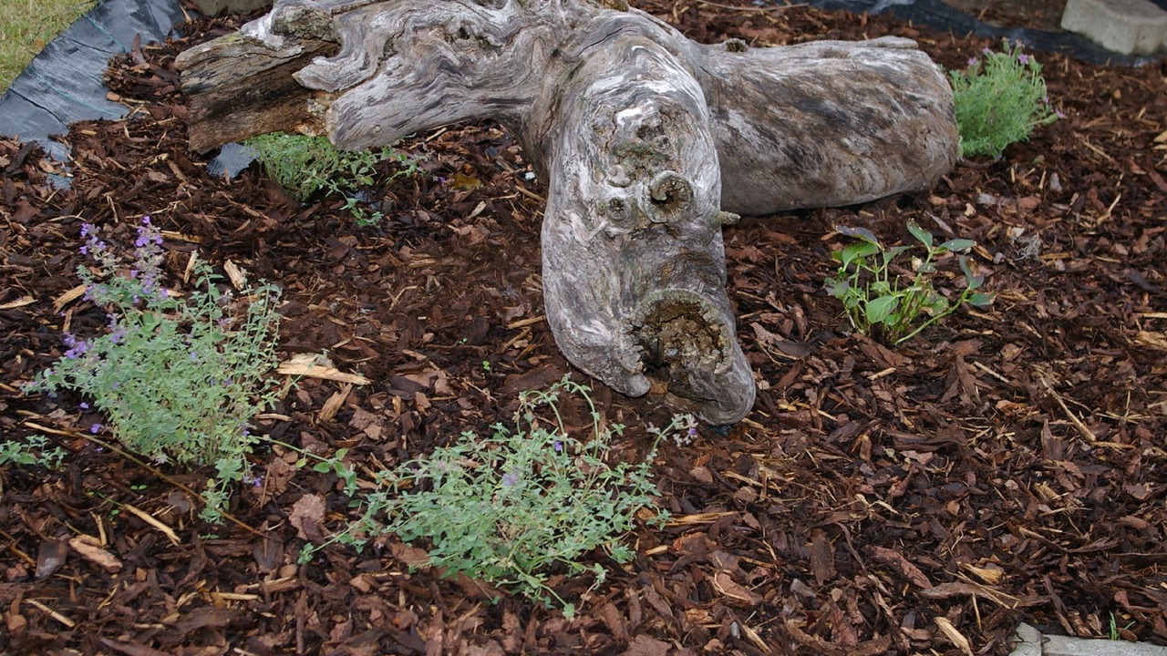 Photo of Outdoor in Sugenheim