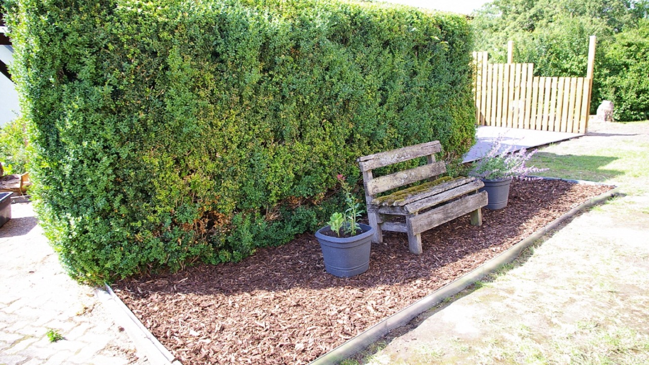 Photo of Outdoor in Sugenheim