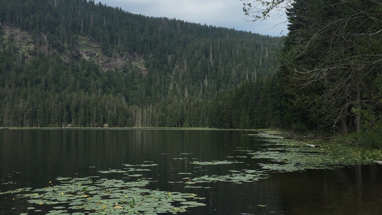 Photo of Outdoor in Lam