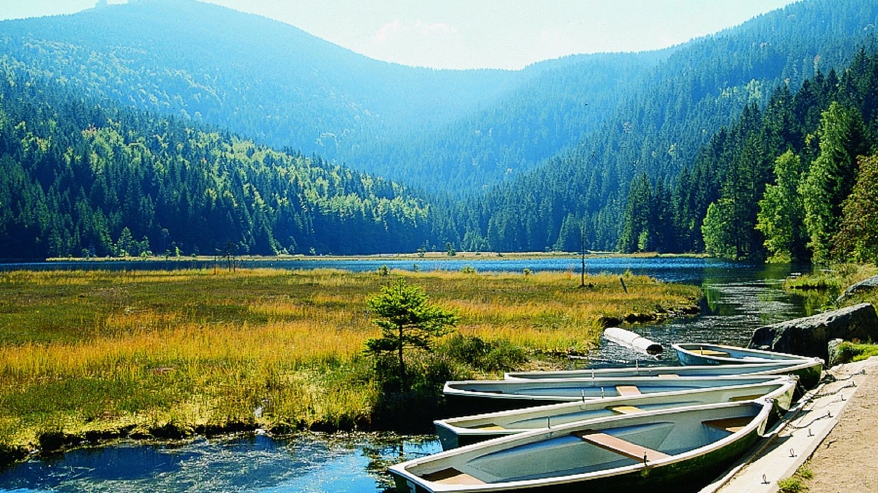 Photo of Outdoor in Lam